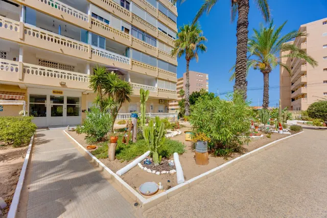 Apartamento de 1 dormitorio con parking comunitario a 240m de la Playa de La Mata — 23