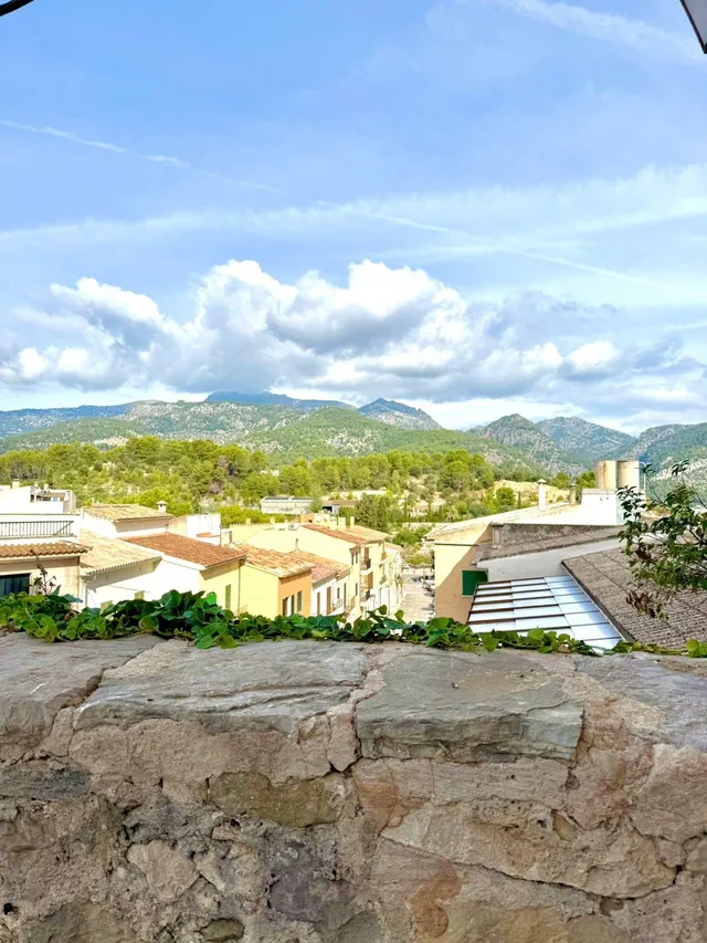 Solar 193m² en venta - Selva - foto 4