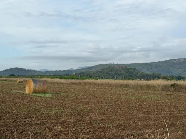 Terreno rural en venta - Pobla (Sa) — 7