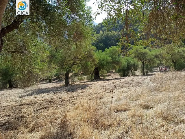 CASA CON PARCELA  EN LA SIERRA DE CADIZ -EL BOSQUE — 26
