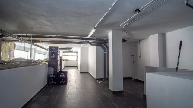 Alquiler Local Comercial en Elda - Gran Avenida — 14