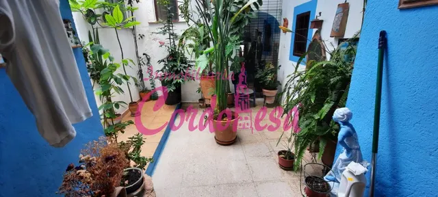CASA CERCA DE LA MEZQUITA — 3