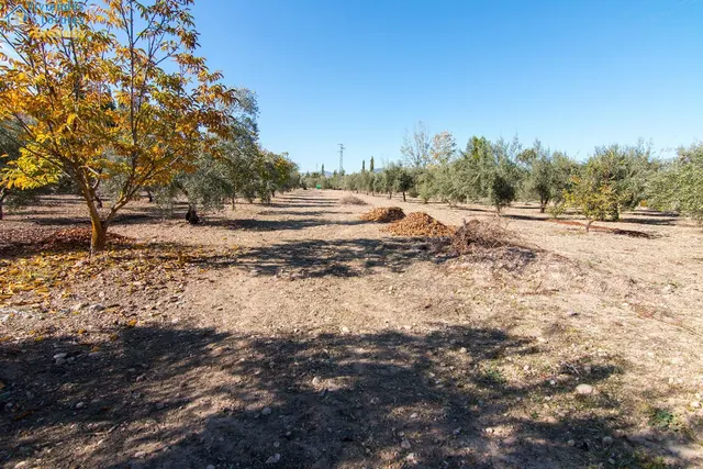 Hospederia rural en Huetor Tajar. — 50
