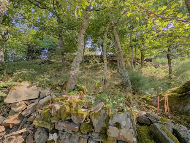 Espectacular finca rustica con cuadra tradiccional — 19