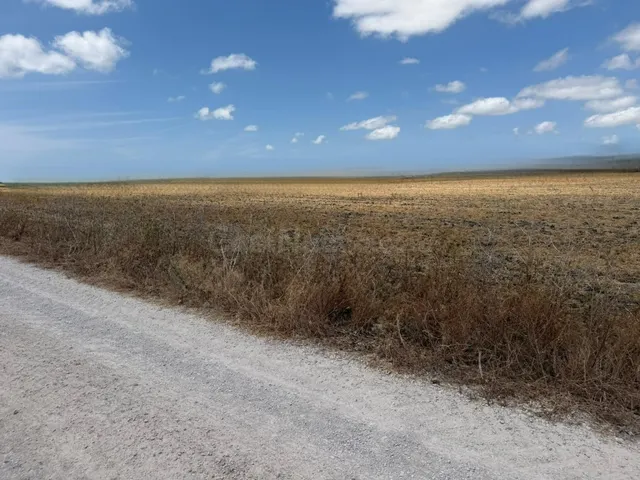 Oportunidad única: Finca rústica de 84.423 m2 en las afueras - foto 2