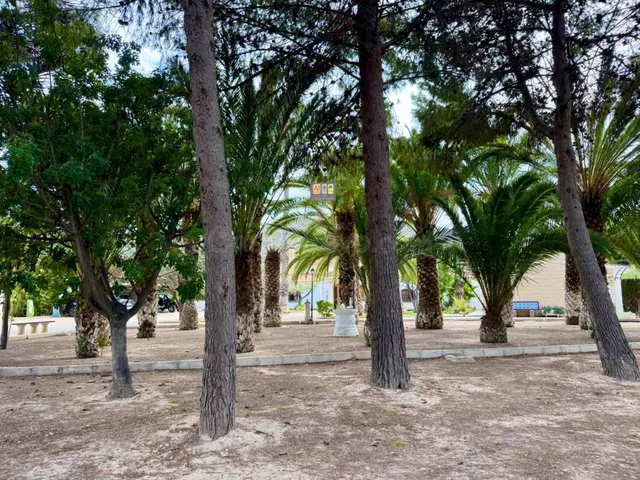 FINCA EXCLUSIVA CON GRAN POTENCIAL EN ELDA - foto 4