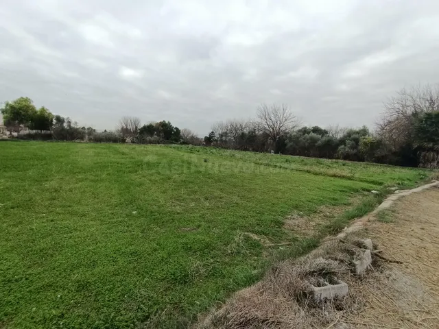 SE VENDE PARCELA RÚSTICA EN ALGUAZAS - foto 2