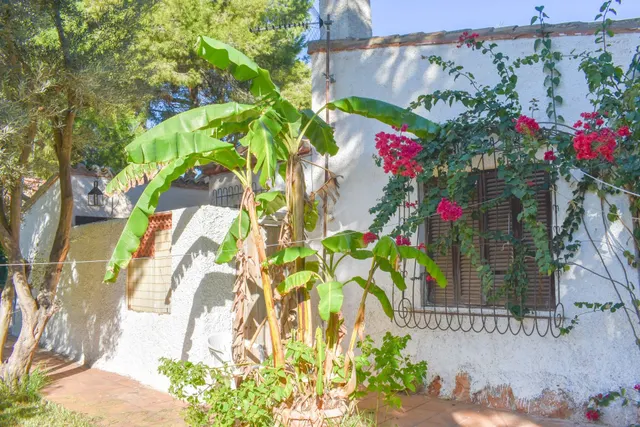 Casa 4 habitaciones 150m² en venta - Rocio del Mar — 15