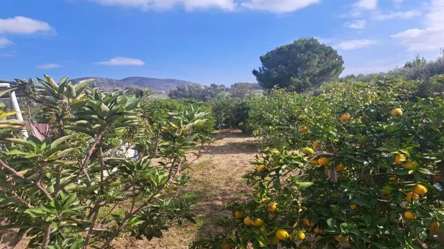 Finca rústica 4 habitaciones 94m² en venta - Costa del Sol — 12