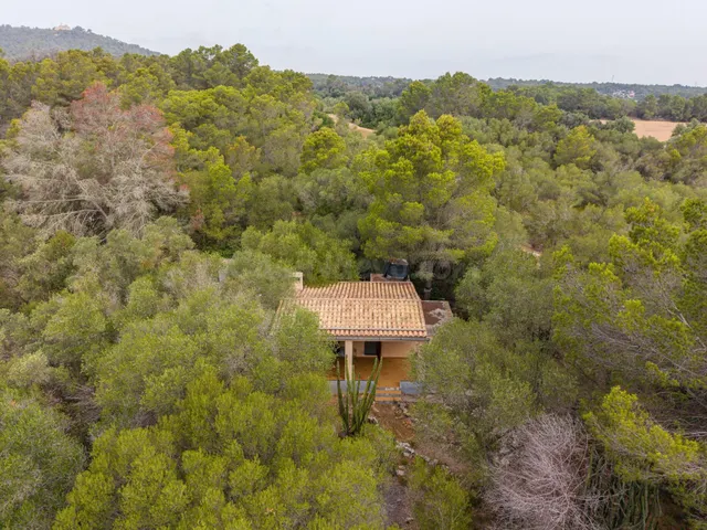 Encanto rústico en plena naturaleza, a solo 5 minutos de Es Cruce – Petra, Mallorca — 5