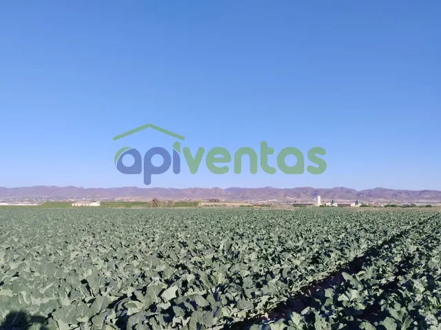 Terreno de riego consolidado — 2