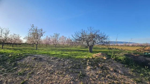 Se vende terreno rústico de 6.500 m2 en el término municipal - foto 2