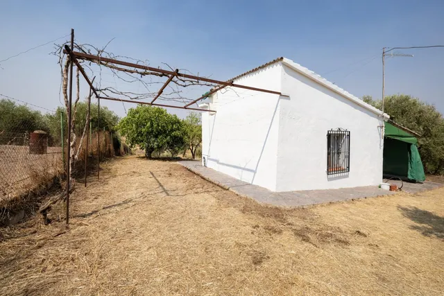 Encanto rústico con casita y olivos en Moraleja de Zafayona — 4