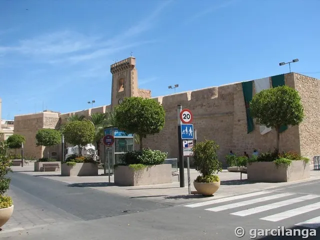 Te gustaria tener  un terreno rústico en  la misma carretera de Santa Pola donde pasar los domingos? parcela de 12.445 m2 — 14