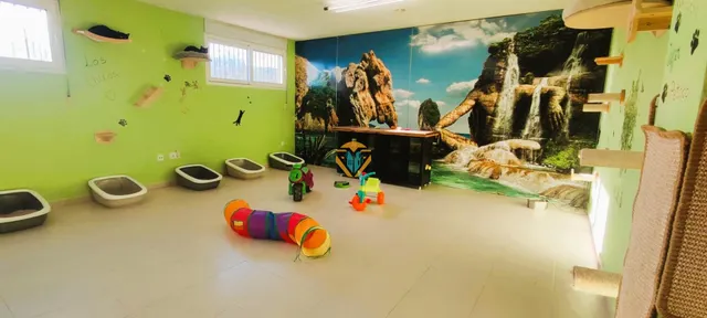 Chalet independiente con posibilidad de hacer un hotel rural!! — 44