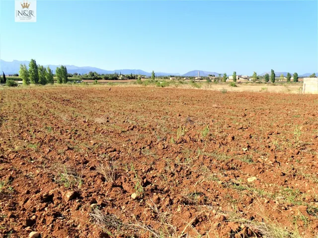FINCA RÚSTICA EN LLUBÍ CON AGUA - foto 2