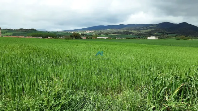 Se vende terreno industrial en La Puebla de Arganzón - foto 2