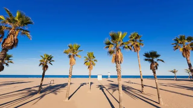 Vive Playa de Gandía como siempre has querido — 38