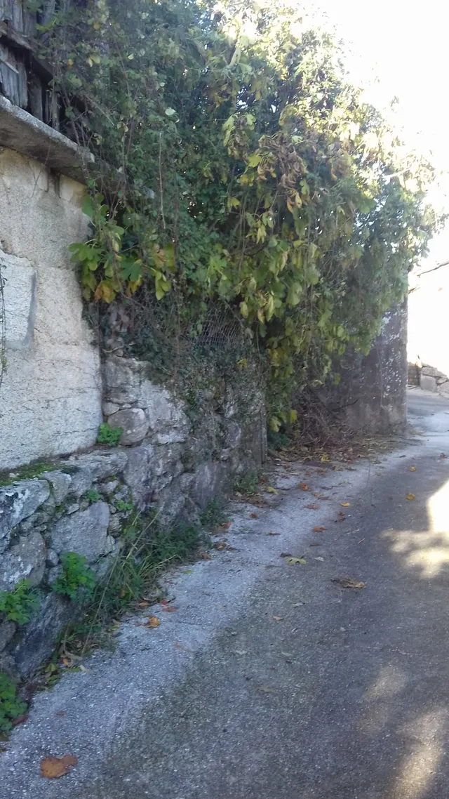 SE VENDE CASA DE PIEDRA PARA REFORMAR EN BUGALLIDO — 10