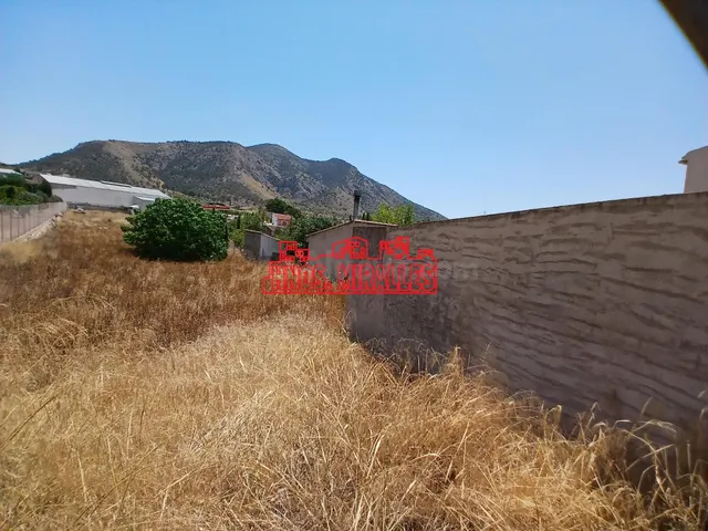 ¡¡ OCASIÓN, VENTA EN EXCLUSIVA, PARCELA URBANA EN ALGUEÑA 1. - foto 5