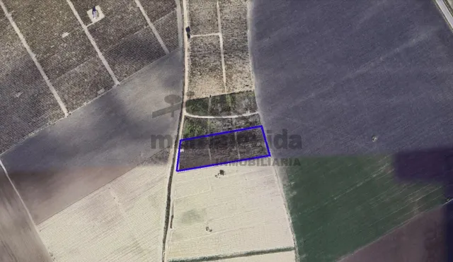 PARCELA RÚSTICA EN LA ZONA DE RANCHO PEREGIL — 2