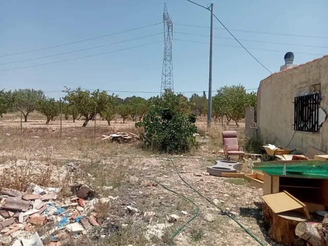 Campo en monovar — 8