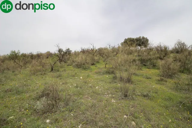 FINCA EN CORTIJO SAN JERÓNIMO (BARTODANO) — 23