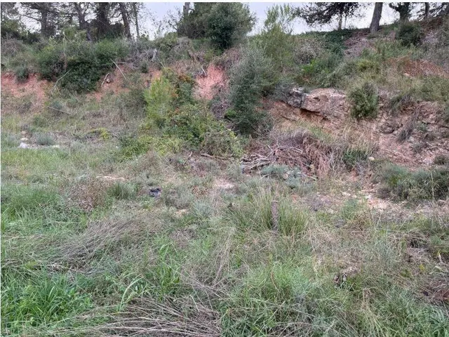 ¡Oportunidad Única en Les Garrigues – La Pobla de Claramunt! — 8