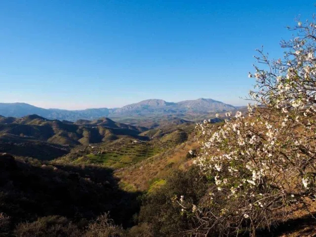 Finca rústica 2 habitaciones 125m² en venta - South of spain — 8