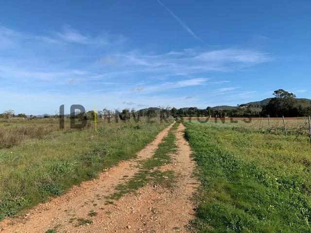 Terreno rural en venta - Manacor Centro - foto 3