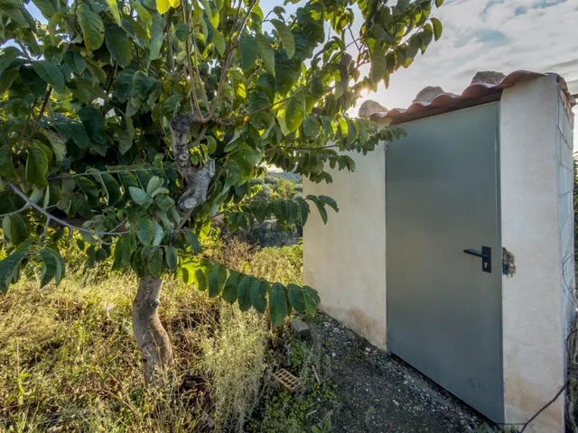 Finca rústica de AGUACATES con CONTRUCCIÓN de 37 m2 en Los Guájares (Faragüit) — 35