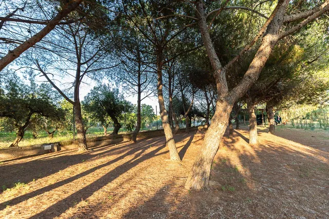 Vive en el campo con todas las comodidades de la ciudad — 37
