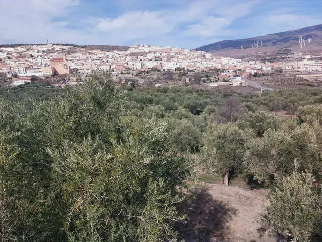 Casa 7 habitaciones 225m² en venta - Abla centro — 25