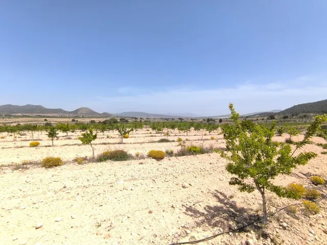 Parcela para construir en Monóvar, Comunidad Valenciana