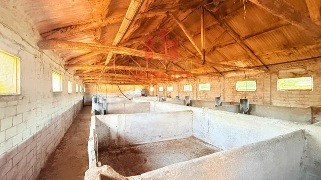 Oportunidad de inversión: nave con parcela en San Cristovo de Cea (Ourense) — 6