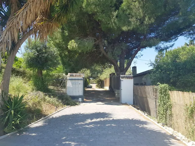 ÍNCREIBLE FINCA CON CASA Y TERRENO EN PRODUCCIÓN DEL CÍTRICO - foto 4