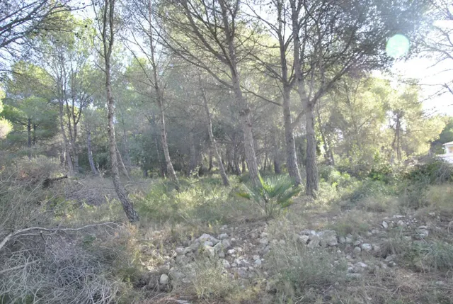 Parcela Rústica en el municipio de Cubelles, 5.560 mts2 Corral d'en Cona — 15