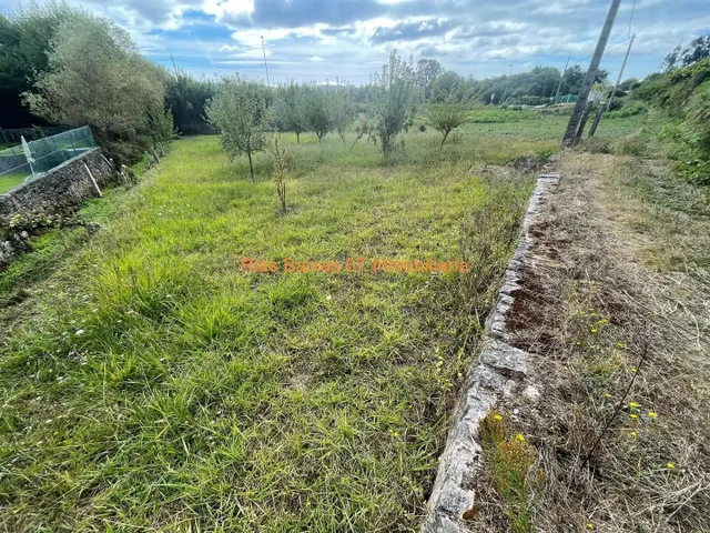 REF 4178 TERRENO RÚSTICO 1181m2 TAMEIGA ( MOS ) — 5