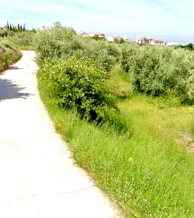 NIVAR - FINCA DE OLIVOS — 8