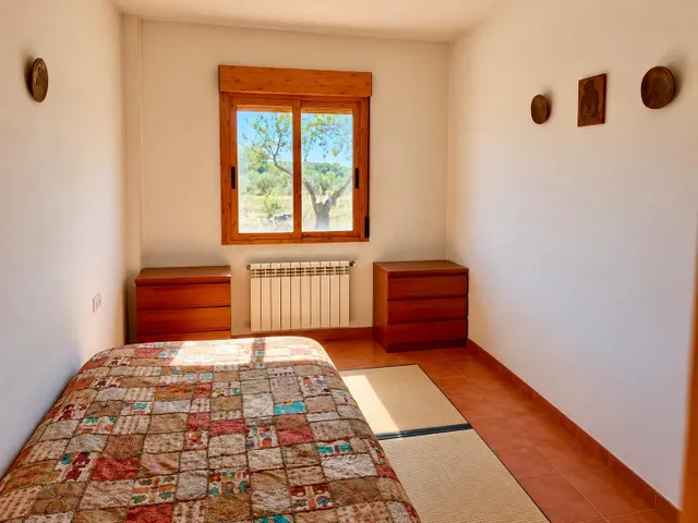 Finca de 11.000 m2 con 2 edificaciones y gran sala polivalente en Jérica — 17