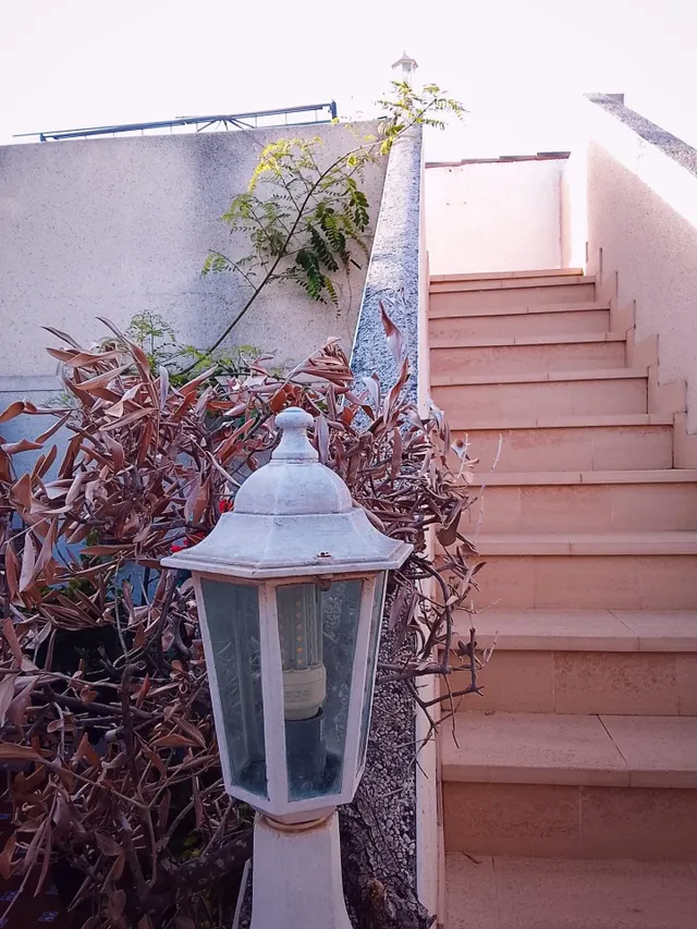 Casa en Benimar con gran jardín, solárium privado y amplios espacios exteriores — 17