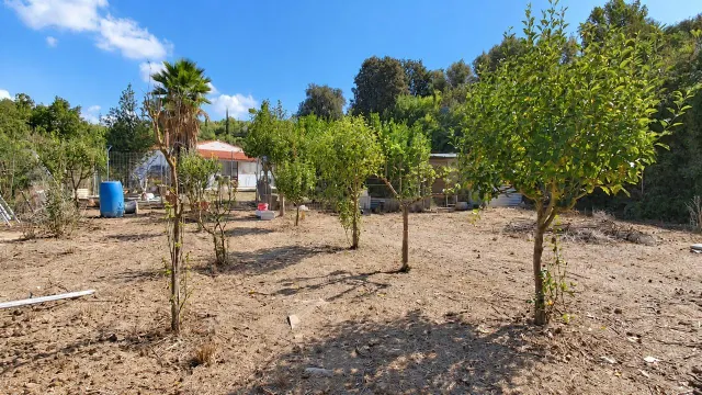 Amplia Casa con Terreno en Can Nicolau de Dalt , Castellbisbal, Ideal para Entrar a Vivir — 17