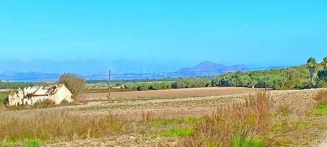 Finca rústica con vistas a la Serra de Tramuntana en Muro - foto 4