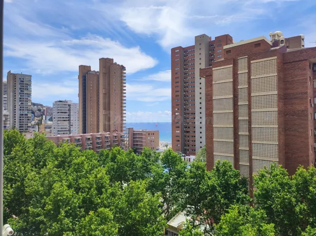 APARTAMENTO CON VISTAS AL MAR EN PLENA AVENIDA DEL MEDITERRÁ - foto 3