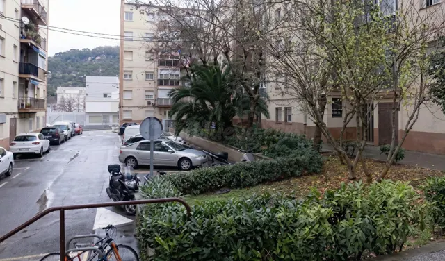 PIS MONTILIVI (MARC ACVAS) — 10