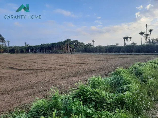 Terreno rural 4300m² en venta - Elche
