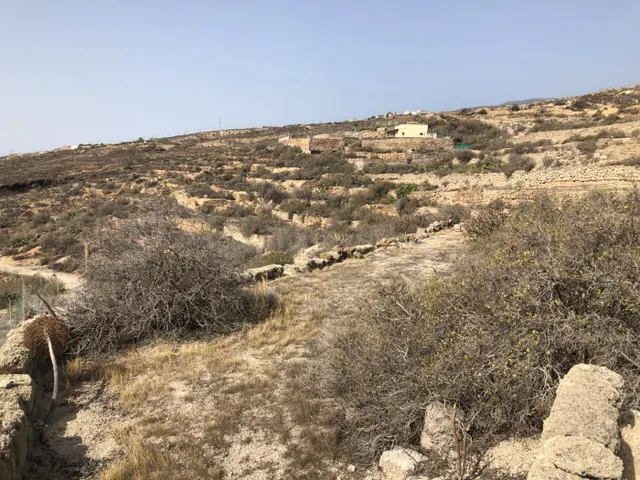 Finca en Guimar - foto 5