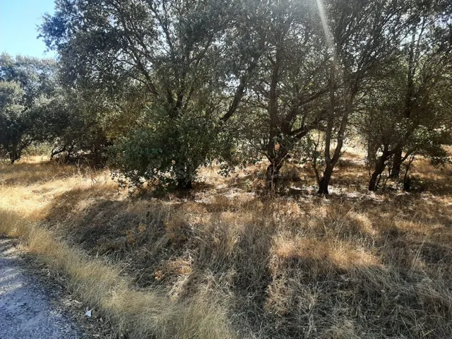 Parcela en venta en el pantano de Valdesalor - foto 3