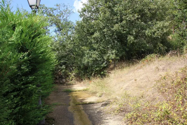 PARCELA EN SALDUERO — 5