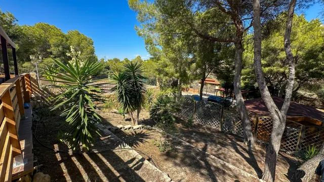 Finca rústica 3 habitaciones 150m² en venta - Desamparados-Hurchillo-Torremendo — 33